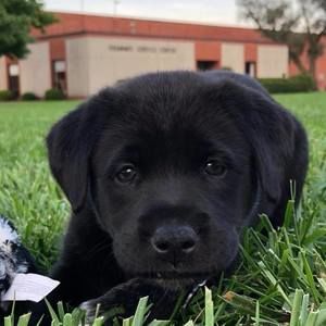 Meet your Posher, Namfon